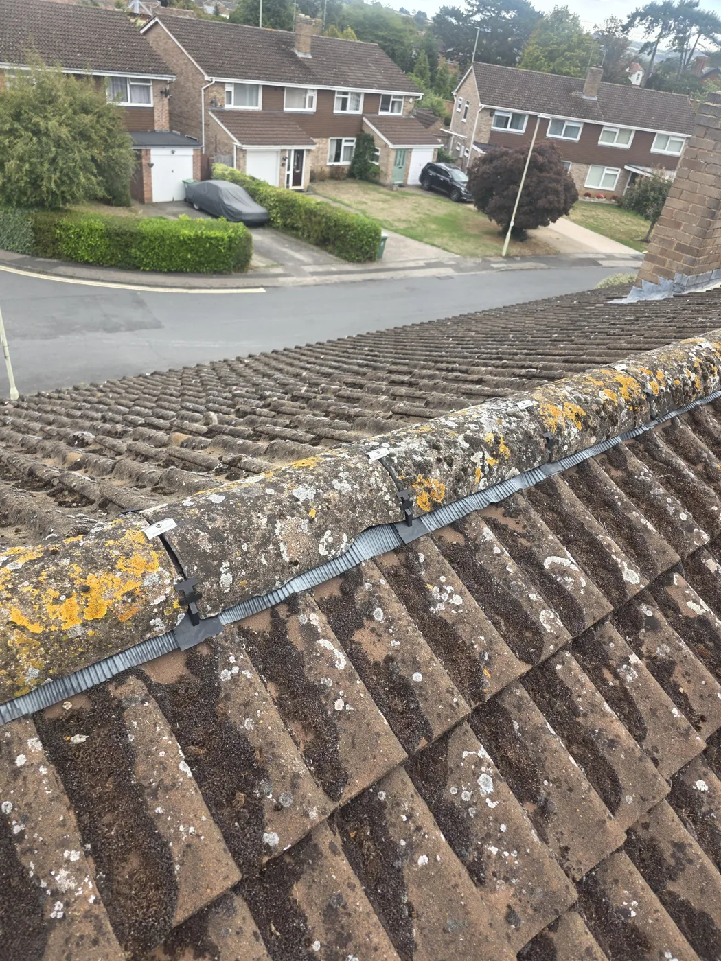 Old ridge tiles covered in yellow lichen along the top of a concrete tiled roof, with houses across the road behind