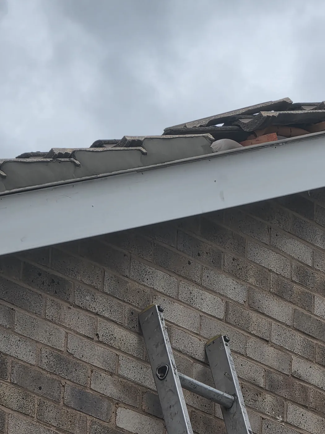 Broken and displaced tiles along the edge of a roof above a white fascia board, with a ladder against the brick wall below