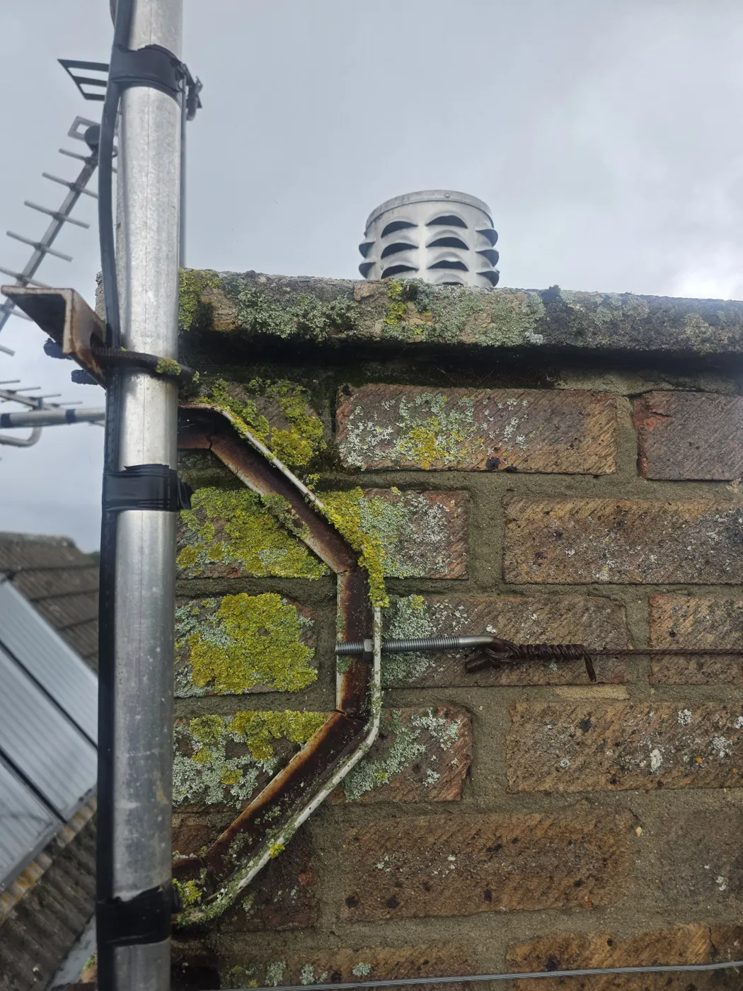 A brick chimney stack covered in yellow and green lichen, with a TV aerial pole strapped to its side